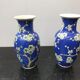 Pair Of Vase Ancient Chinese Ceramics White - Blue Decor Vintage Flowers