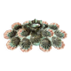 Majolica oyster plate