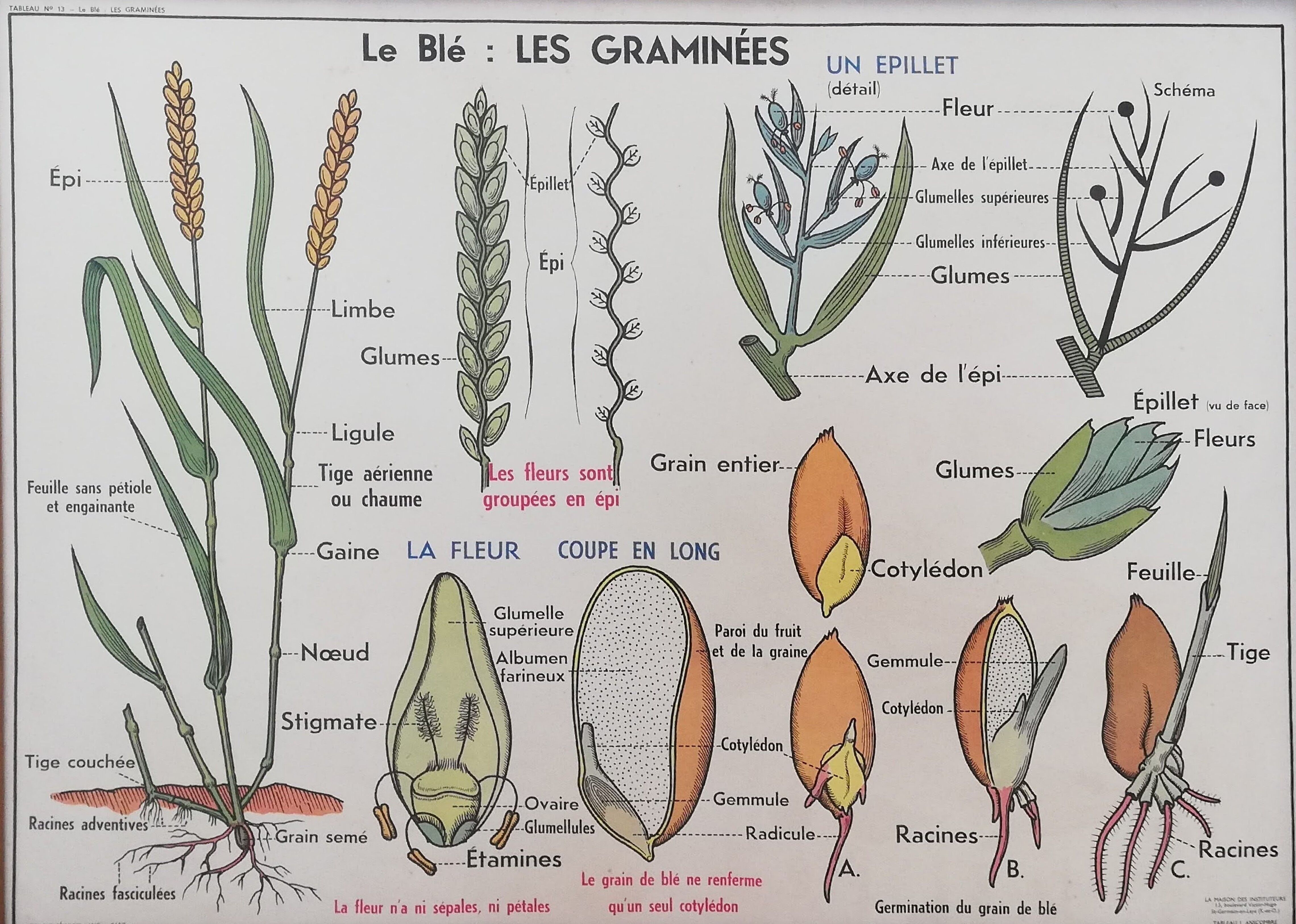 Old mdi school poster