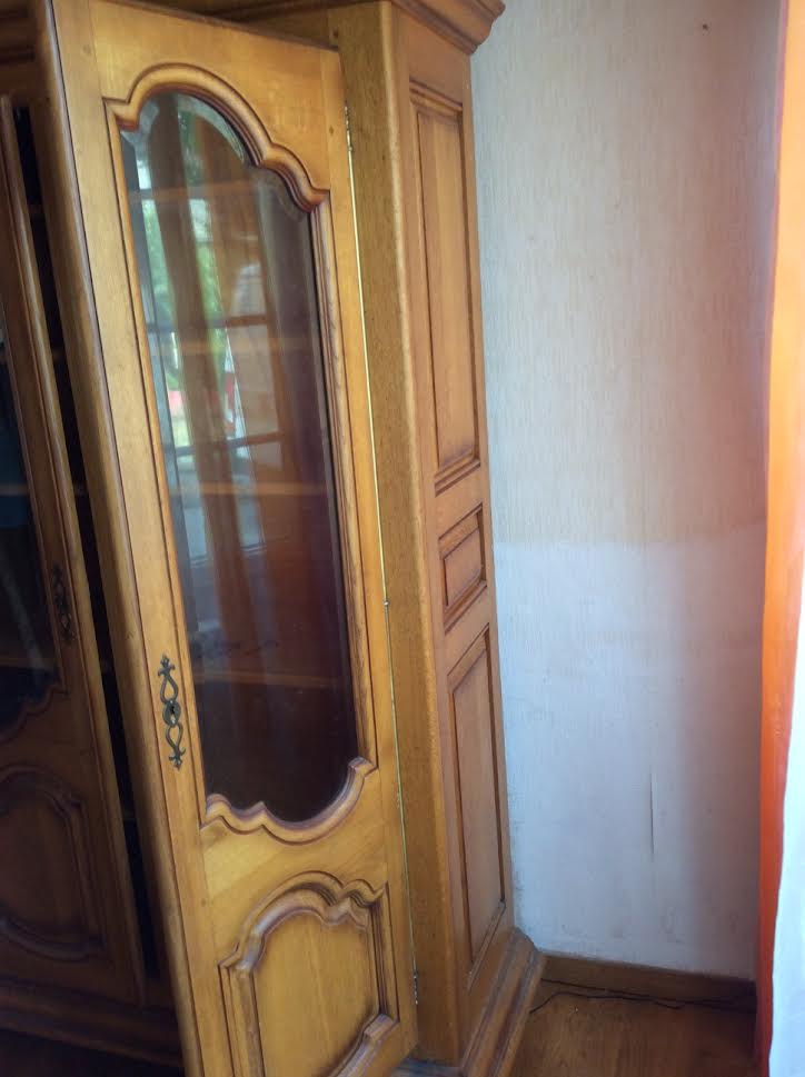Solid wood bookcase 2 doors