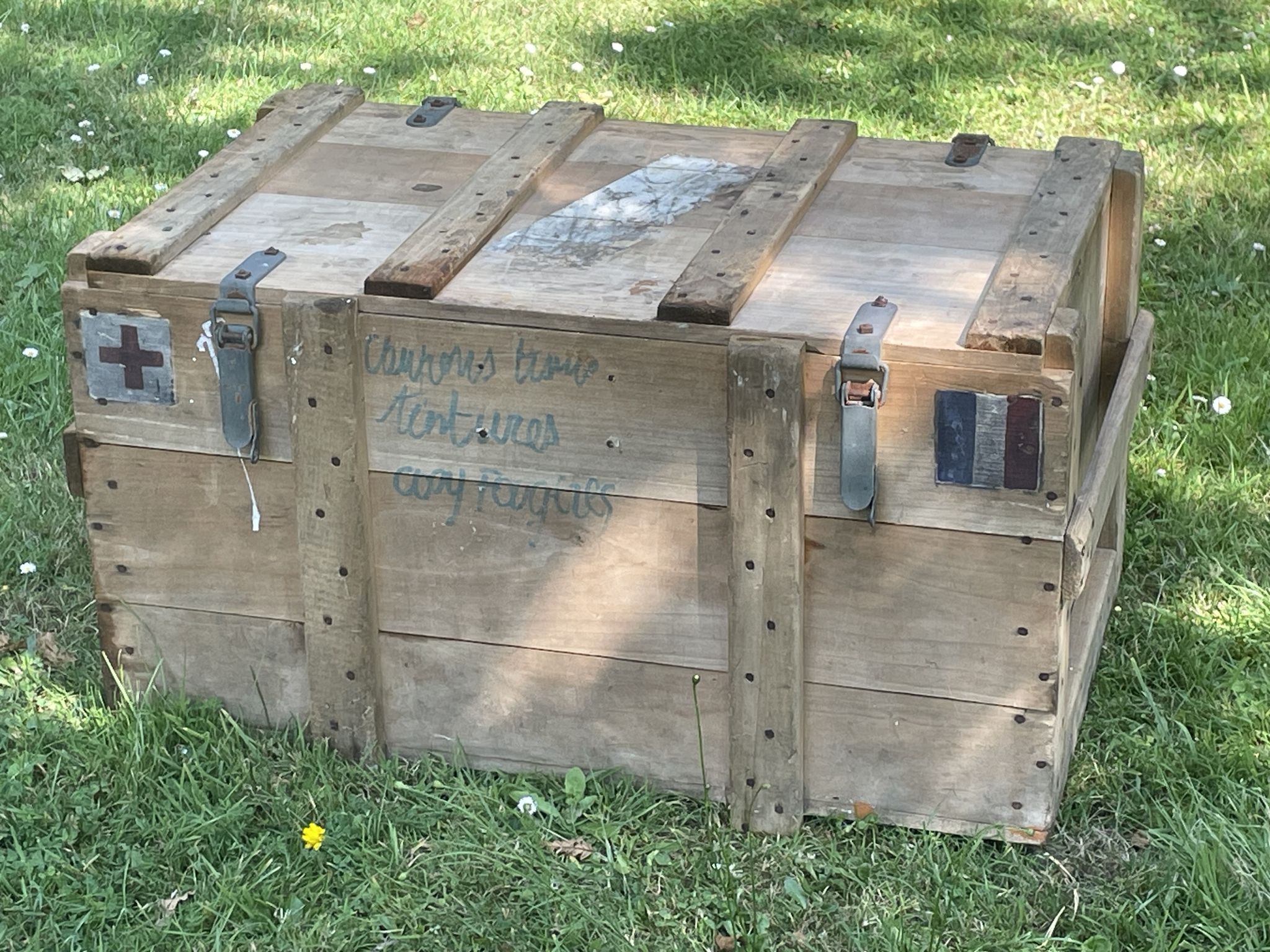 Trunk, natural wood box, very healthy