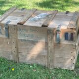 Trunk, natural wood box, very healthy