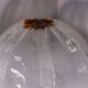 Mazega murano glass floor lamp from the 70s