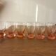 Rose digestive glasses x6
