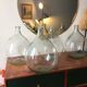 Demijohn 10l transparent