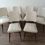 Série de 6 chaises design 1960