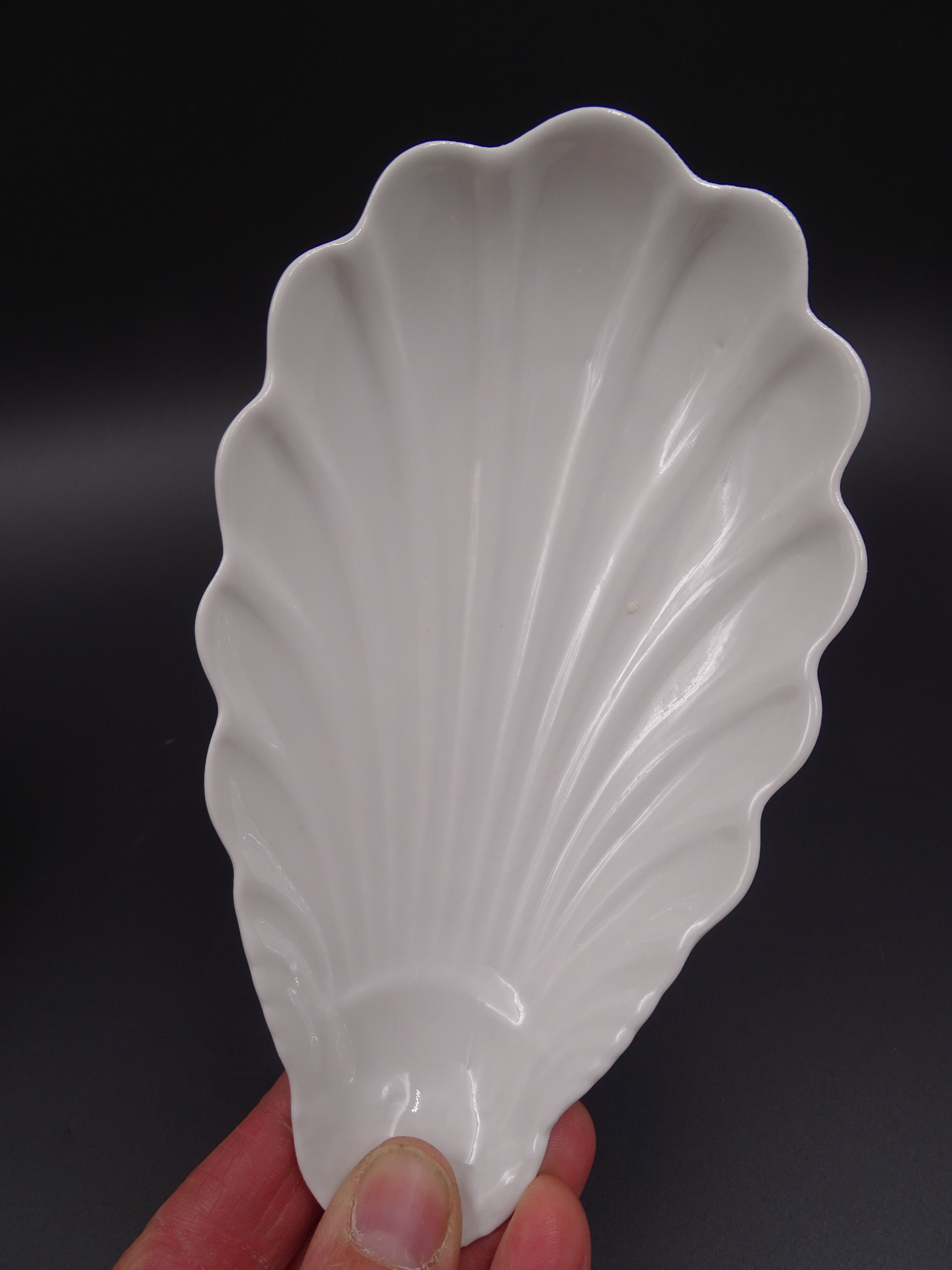 Set of 7 cups in white porcelain and in the shape of a shell - Pillivuyt around 1940