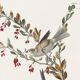 Poster about the Tree Sparrow, based on an old engraving from 1827.