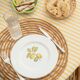 Set of 5 flat plates "Orchard"