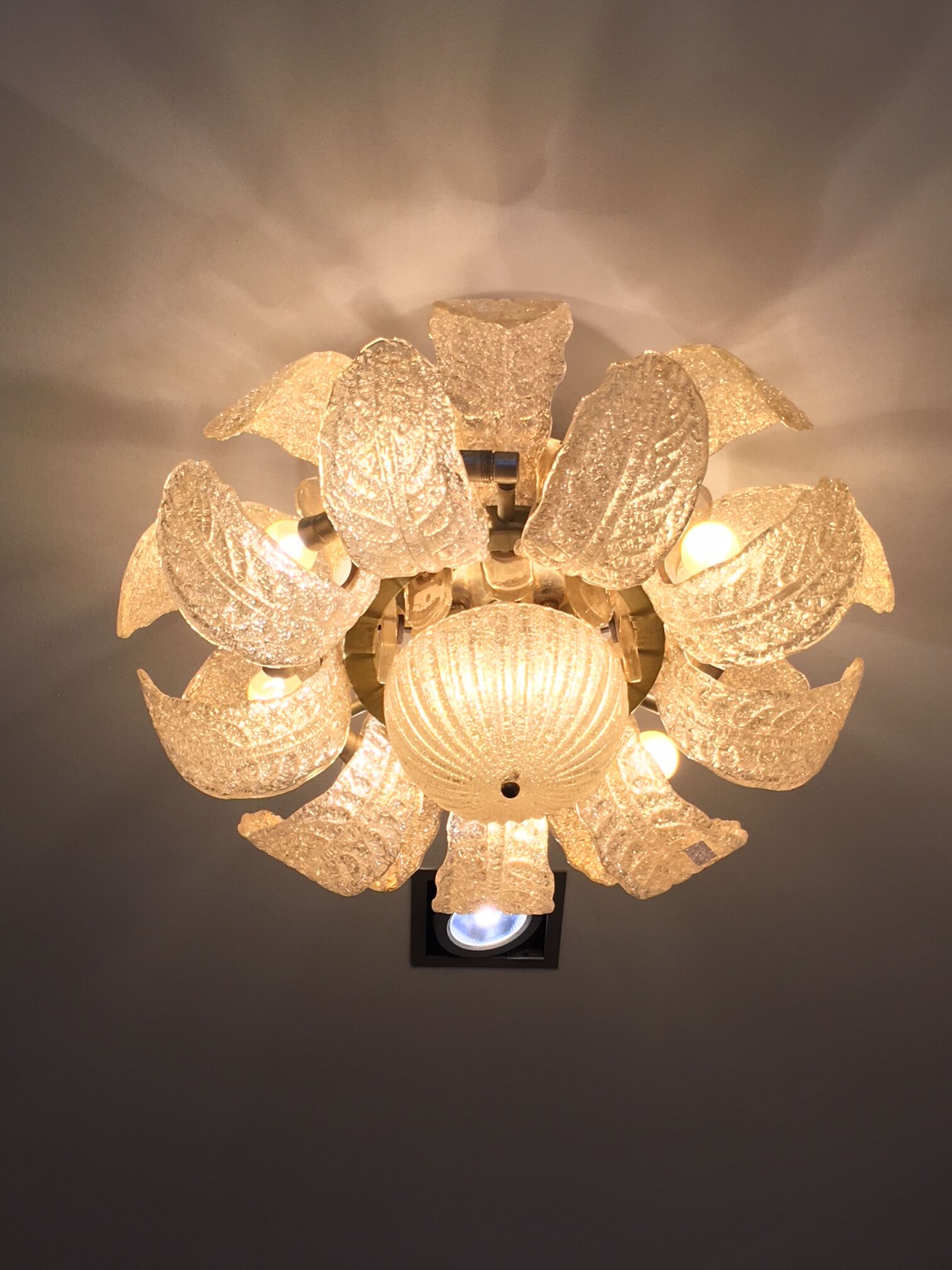 Ceiling light glass