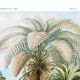 Poster about “tropical ferns”, based on an old lithograph