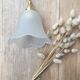 Pair of tulip lamps frosted glass