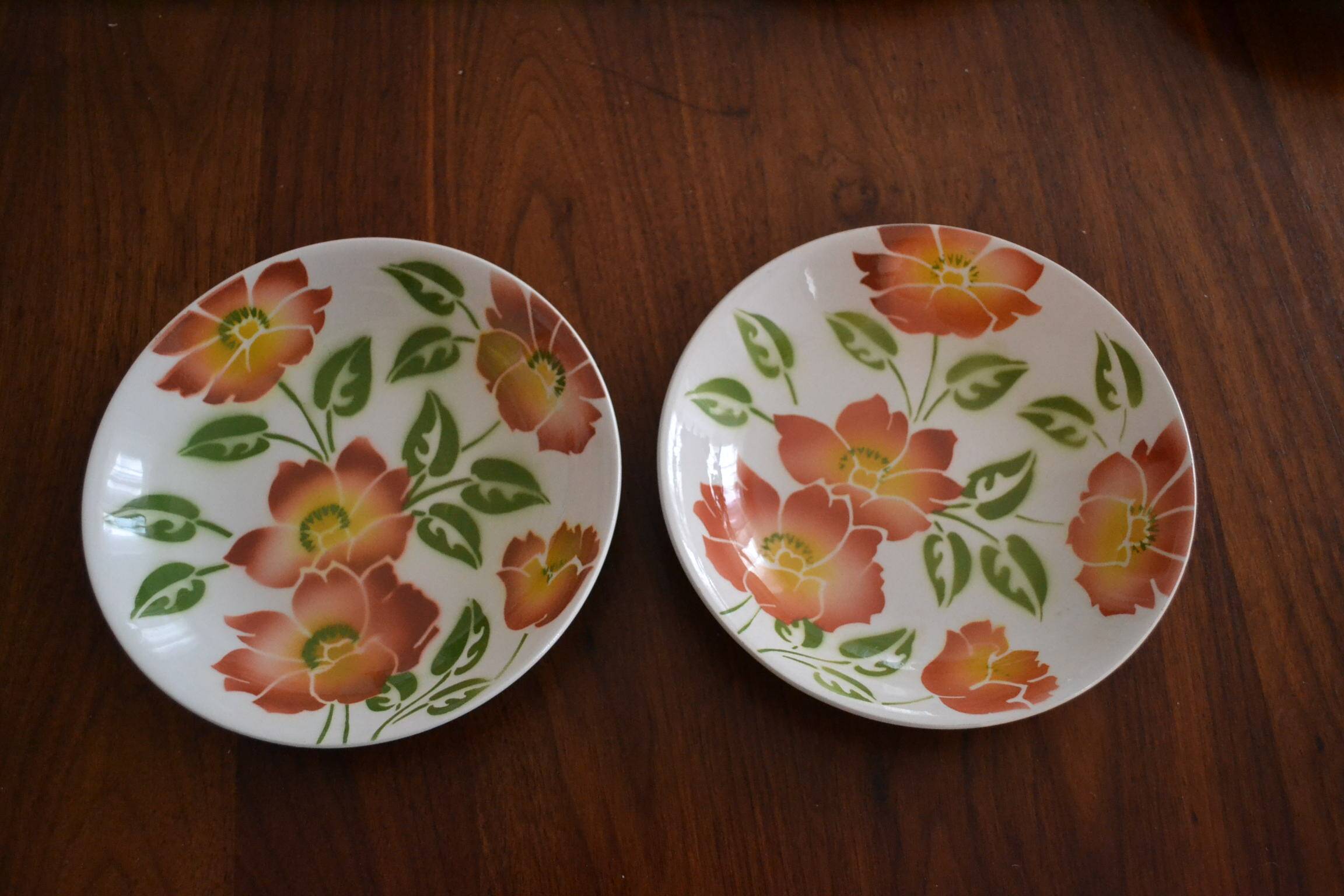 Set of 2 Moulin des Loups plates