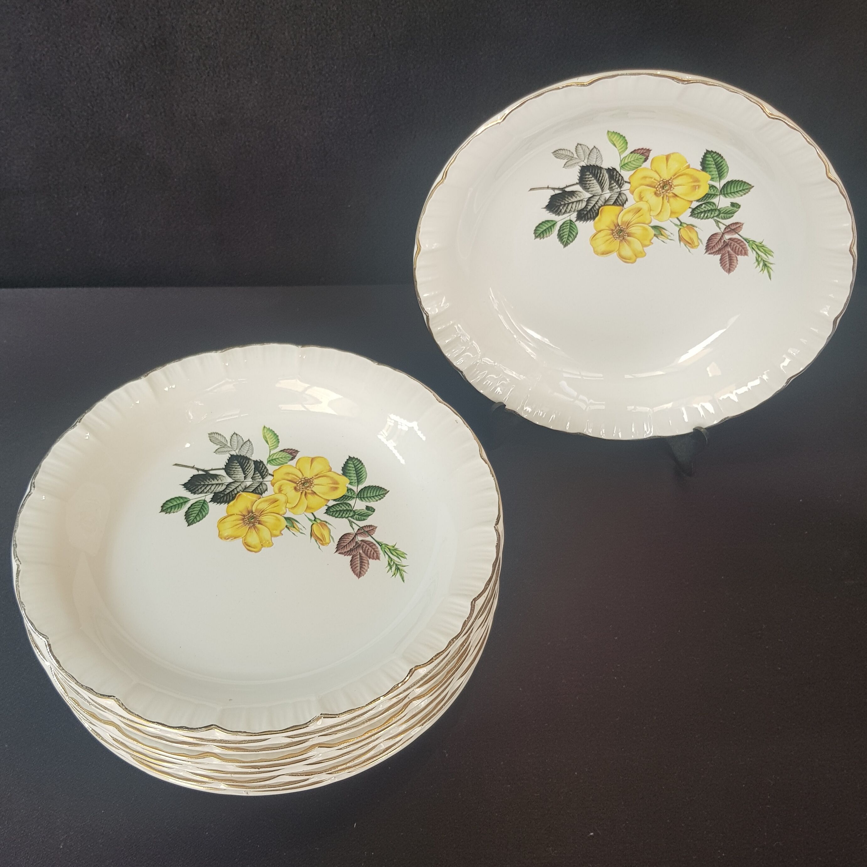 Set of 10 Digoin Sarreguemines hollow plates