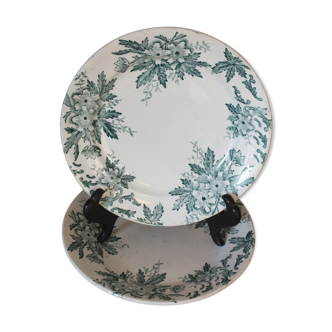 Duo of dessert plates in iron land - saint amand anemone