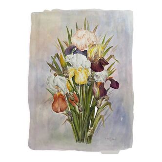 Naturalistic watercolor "Les Iris" signed B. Thierry 1995