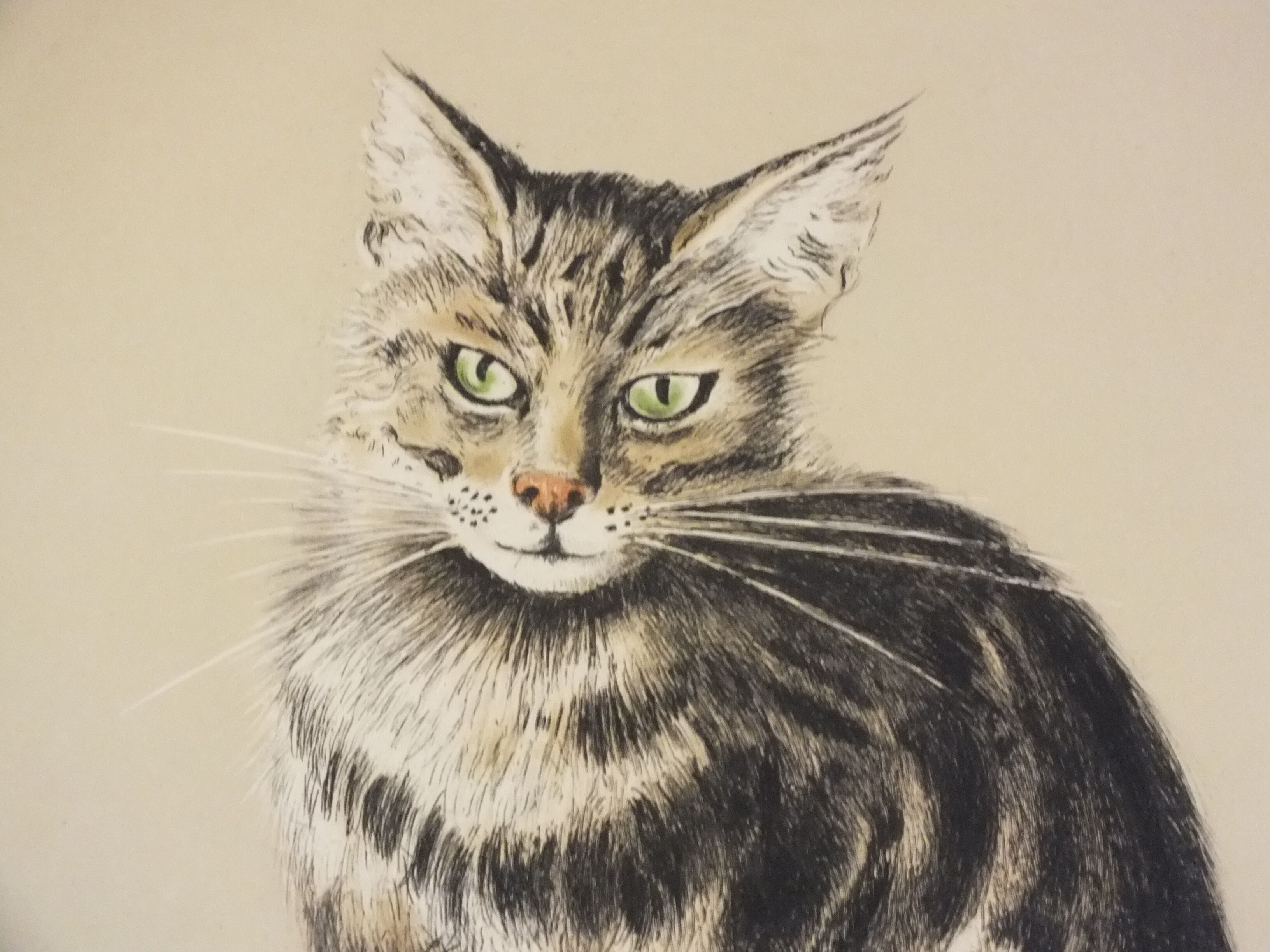 Basile Titoff - Large Signed Lithograph - Elf Cat