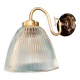 Brass swan neck wall light and prismatic glass tulip vintage porcelain rosette