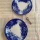 Set of 2 U&C dessert plates, Sarreguemines, Jardinière model
