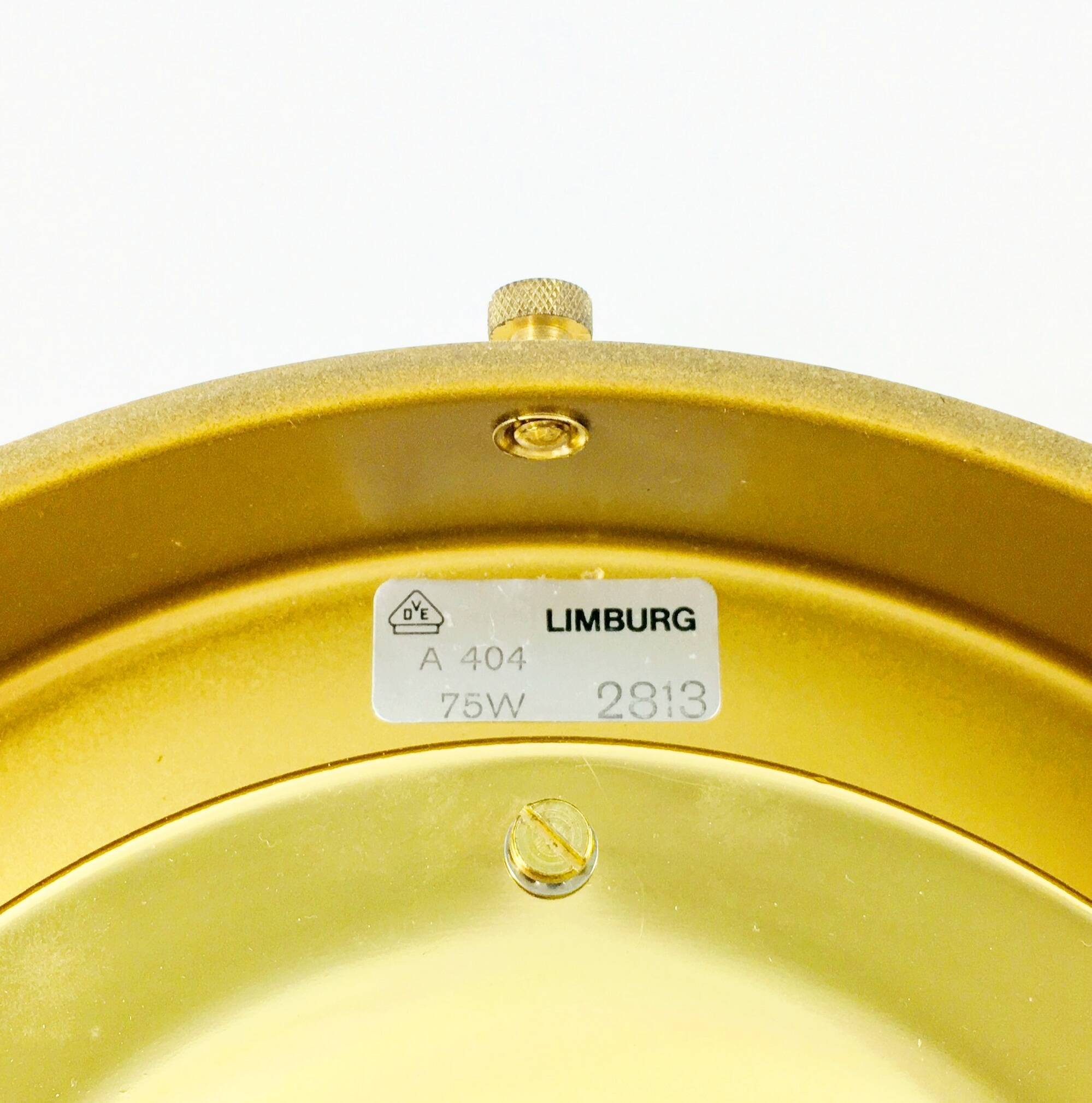 Mid-Century Glass & Iron Flush Mount/Ceiling Light from Limburg, Germany, 1960s