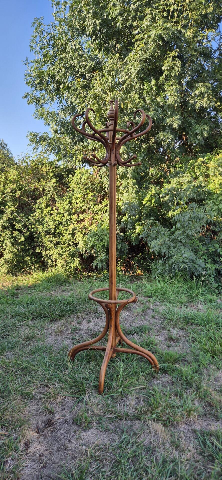 Vintage parrot coat rack in raw wood, renovated.