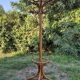 Vintage parrot coat rack in raw wood, renovated.