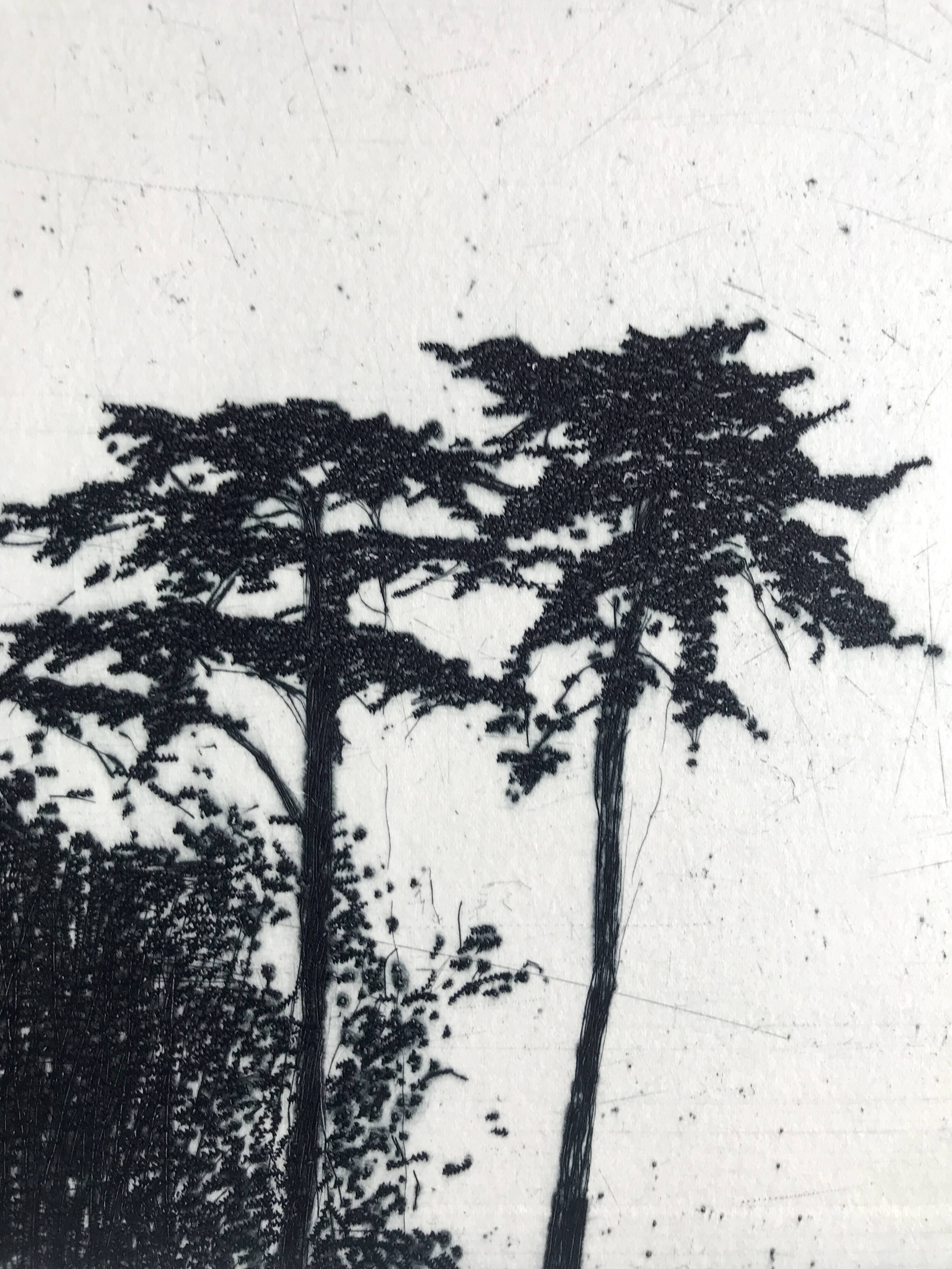 Nicole BOUHARMONT, Parc de Sceaux I, 2003-16. Drypoint signed in pencil