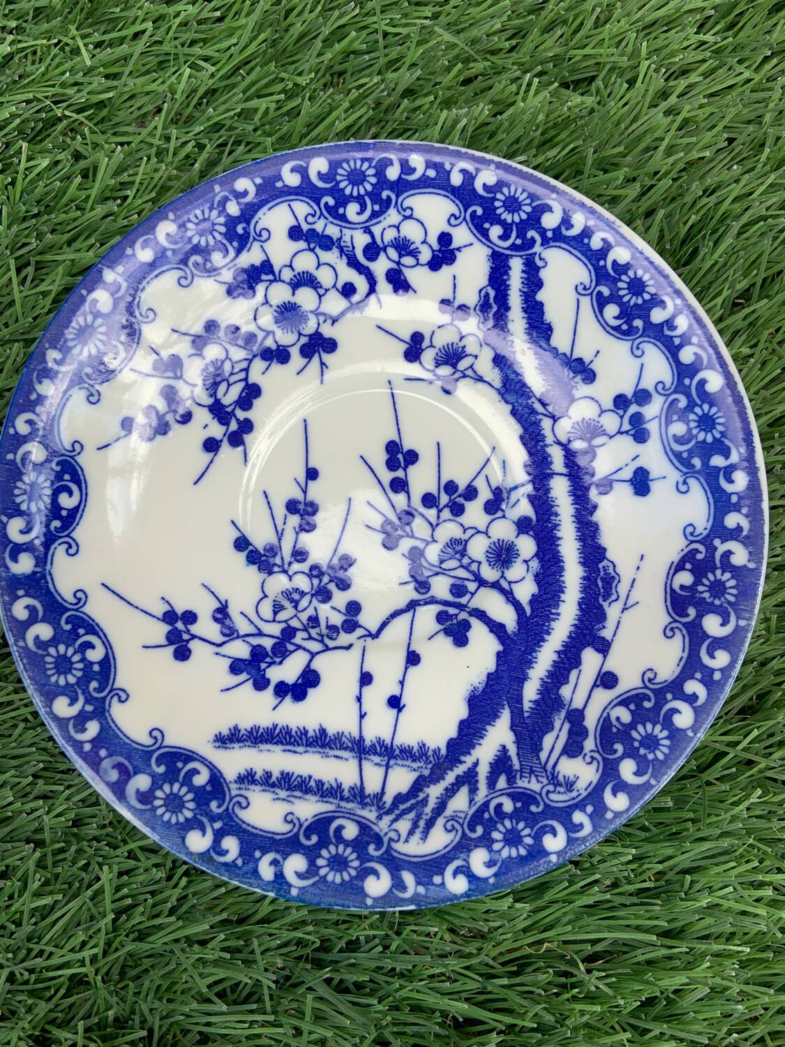 Cups in very fine CFC Japan porcelain