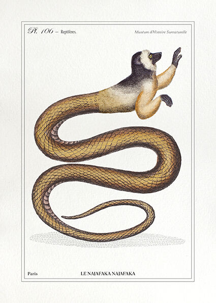 Set of 3 chimera lithograph animal engraving