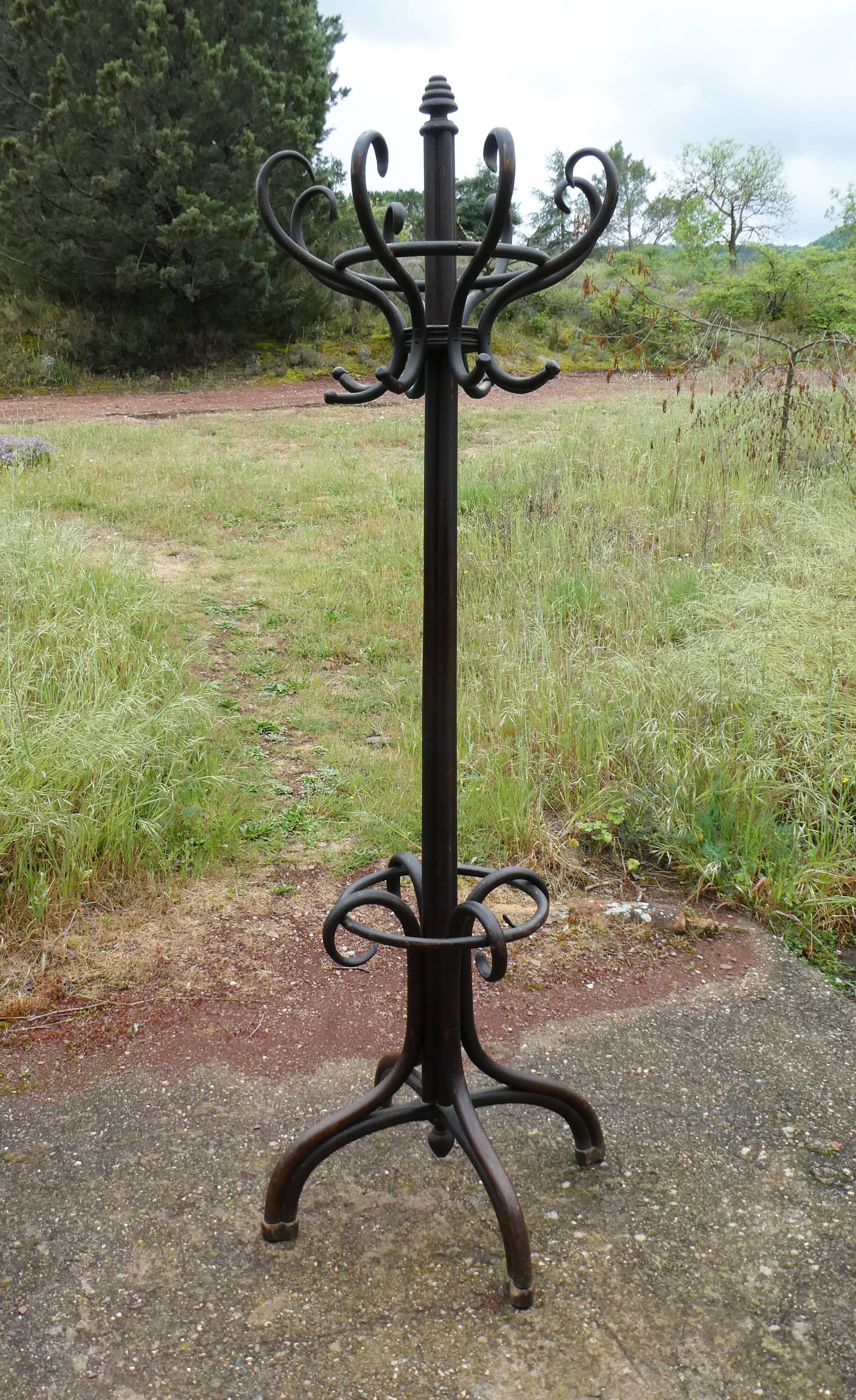 Parrot coat holder in curved wood - Art Nouveau