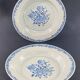 Paire d'assiettes XVIIIe en porcelaine Compagnie des Indes Extrême-Orient Chine