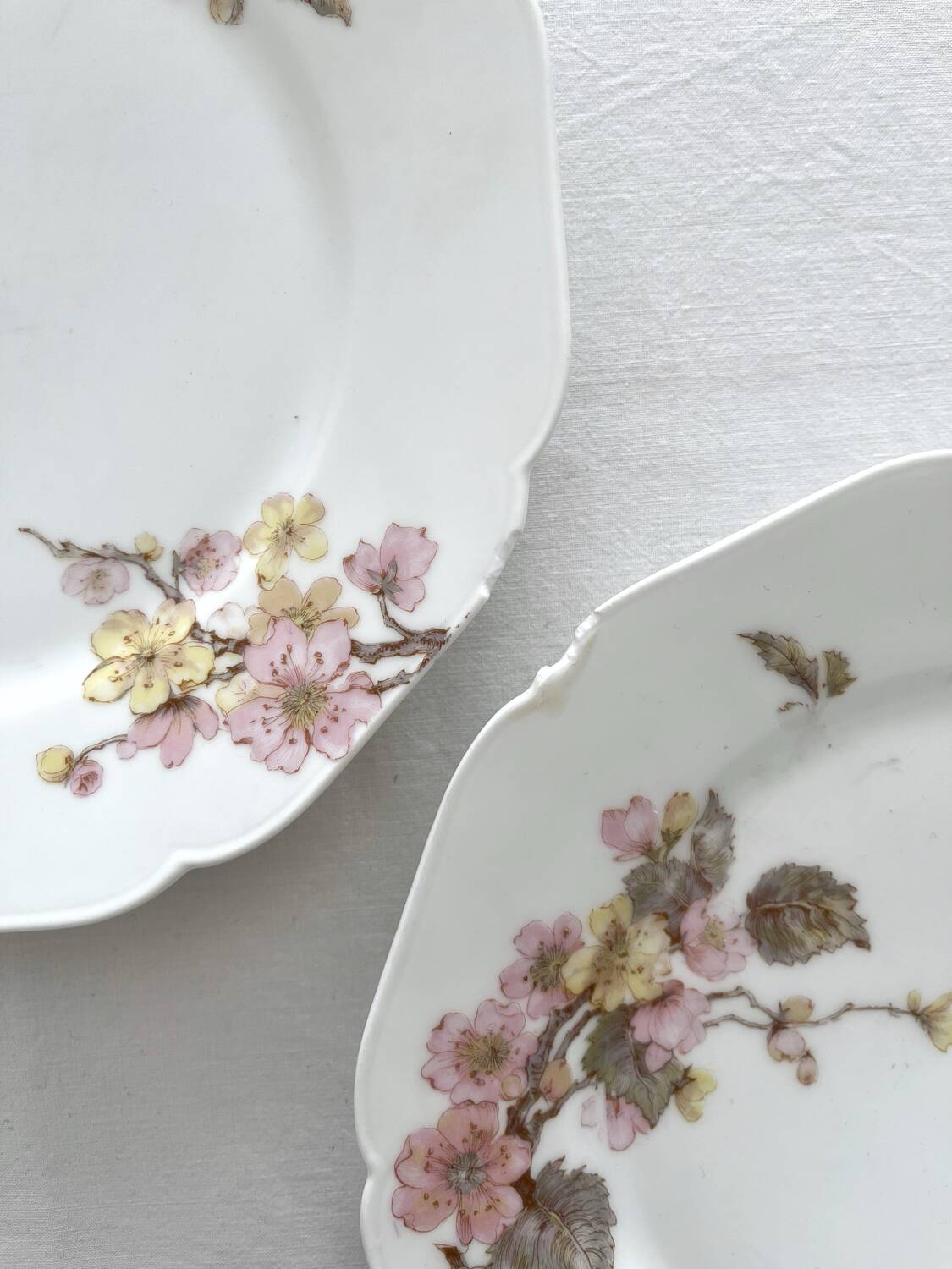 6 antique dessert plates in Limoges porcelain by Haviland & Co.