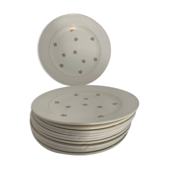 12 old Salins flat plates