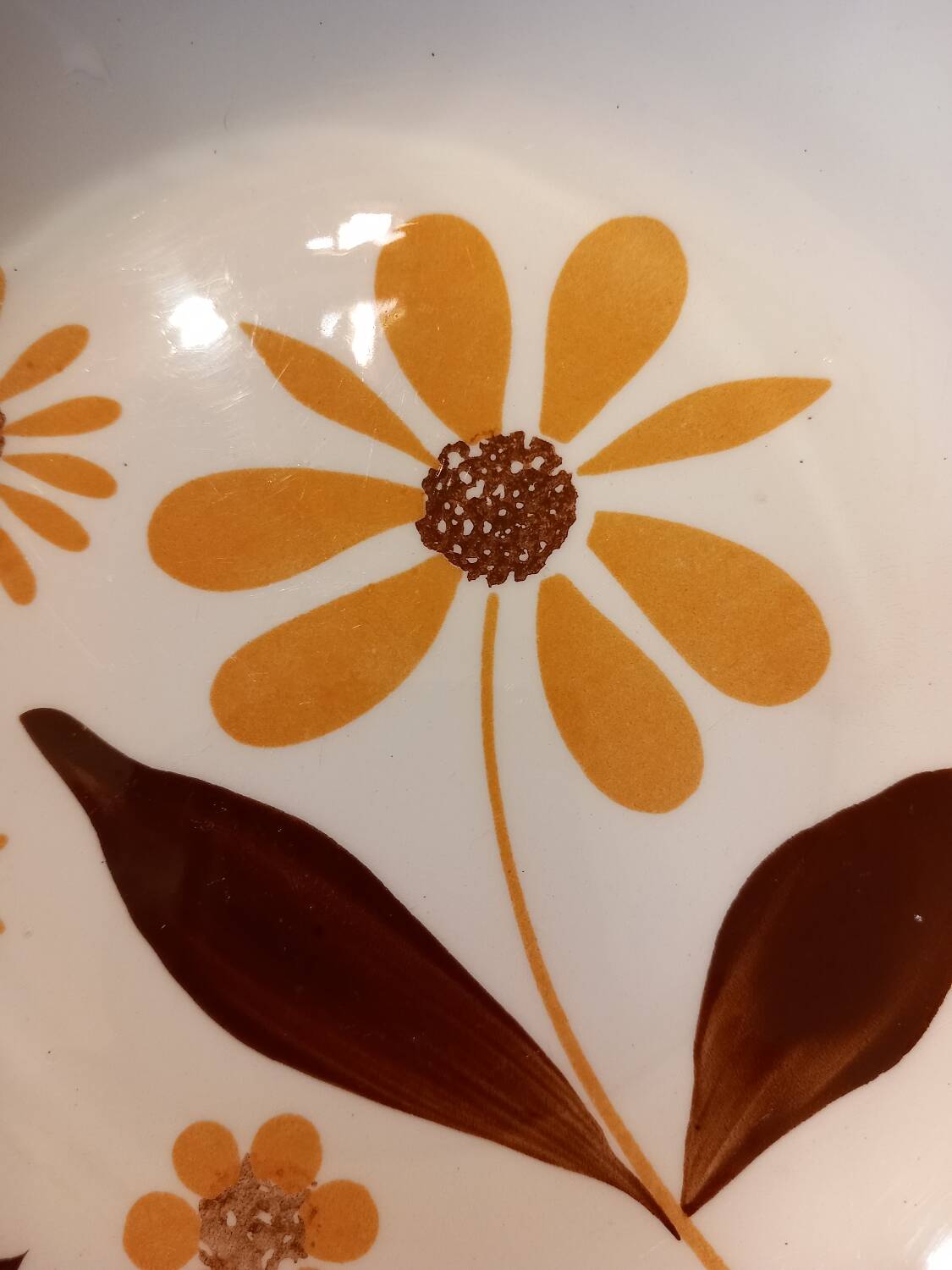 Gien ceramic soup plate