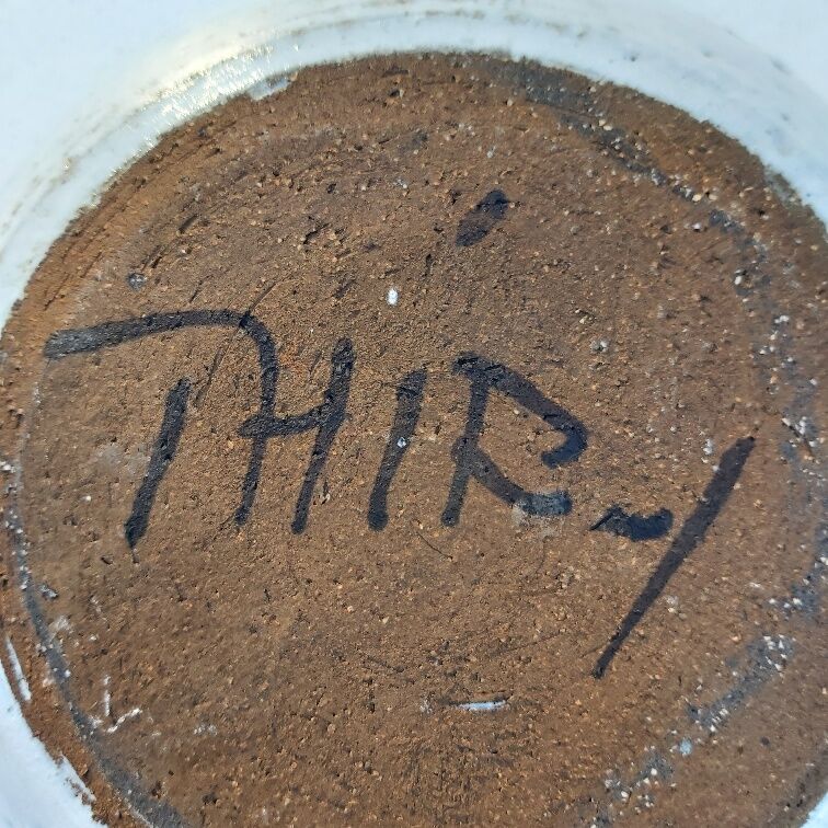 Coupe vide-poche céramique Thiry Vallauris