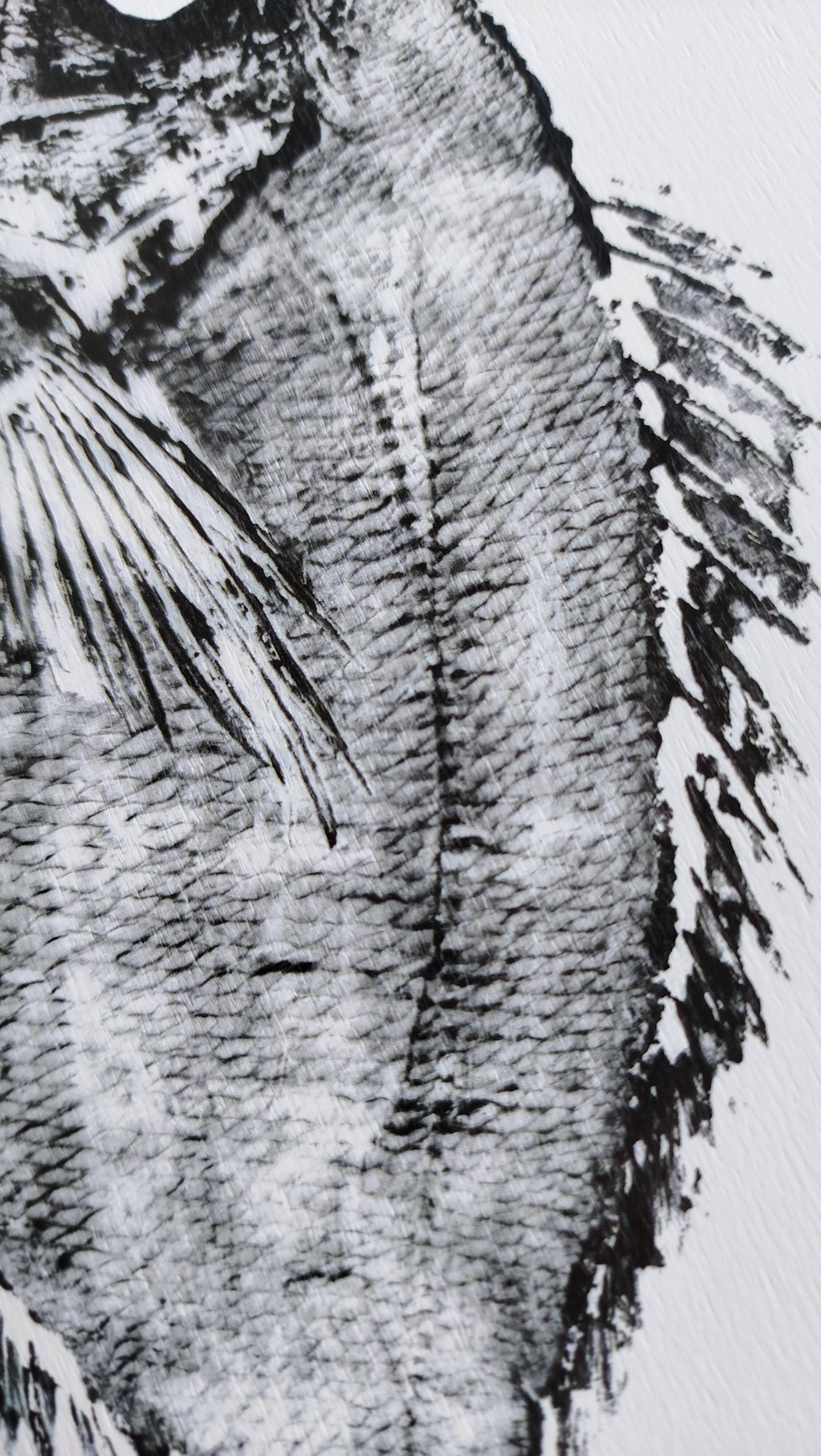 Impression d'art encadrée, "Estampe d'une dorade"