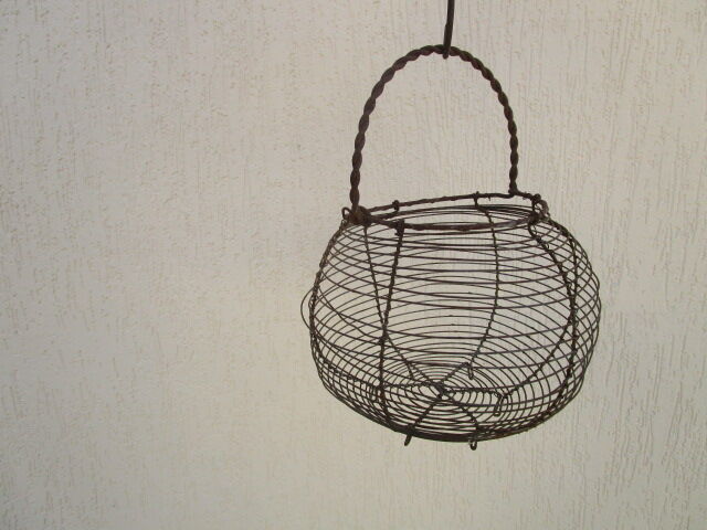 Basket with salad or old eggs in wire