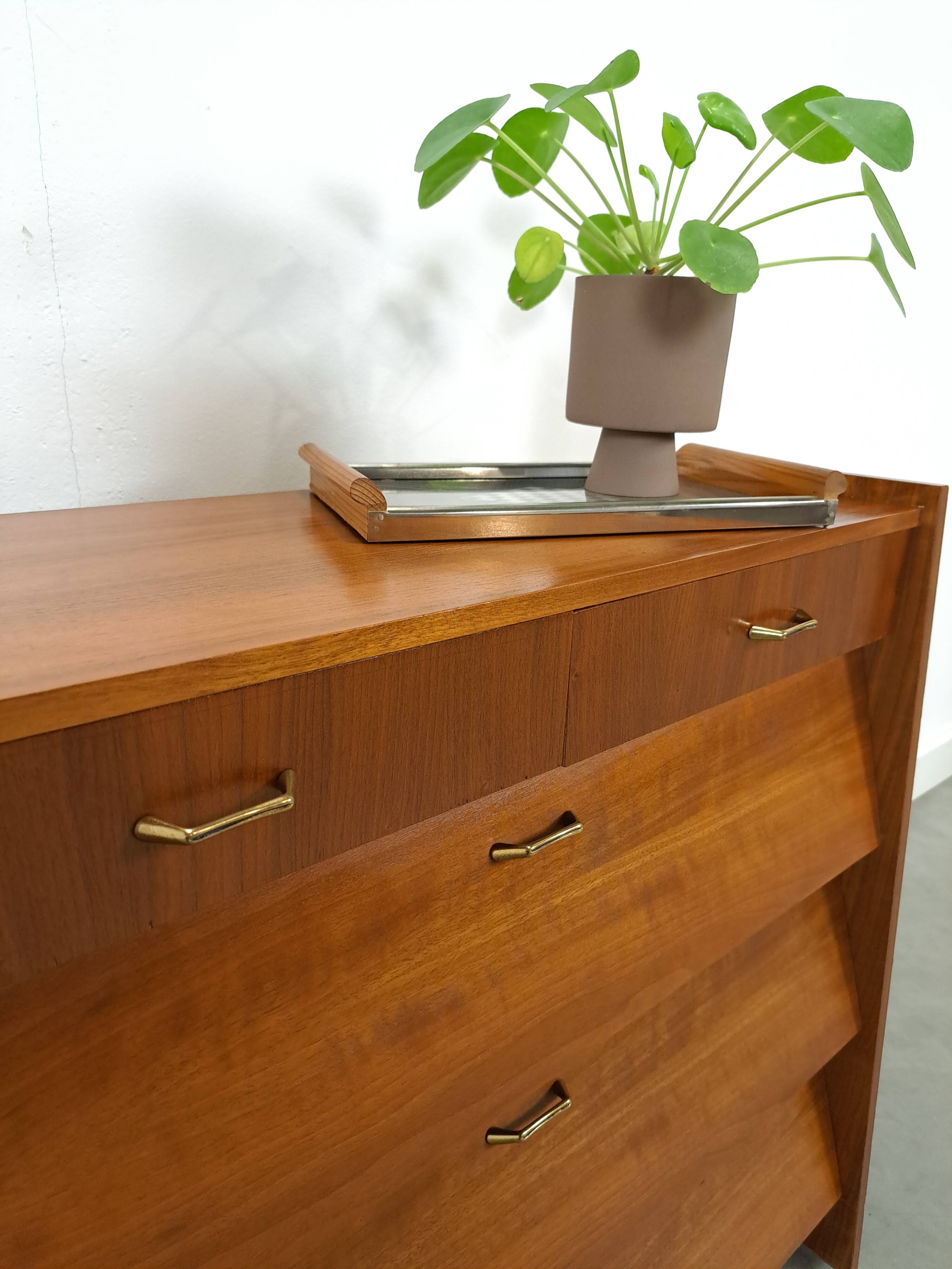 Fineer schoenenkast met lades