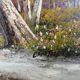 Huile sur toile signée Cantrell