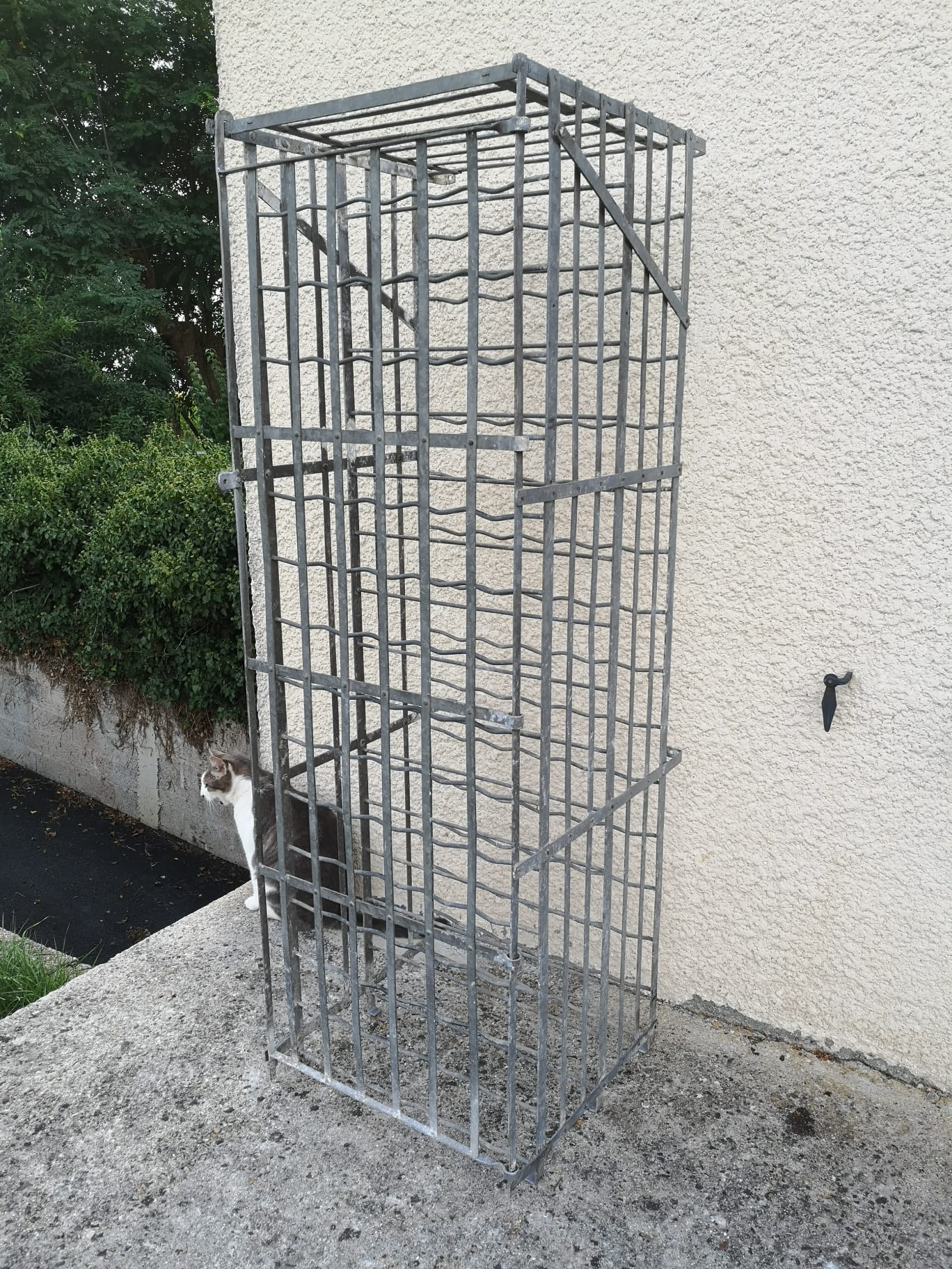 Old bottle bottle wine cage