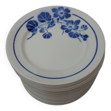 Flat plates badonviller nasturtiums