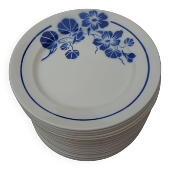 Assiettes plates badonviller capucines