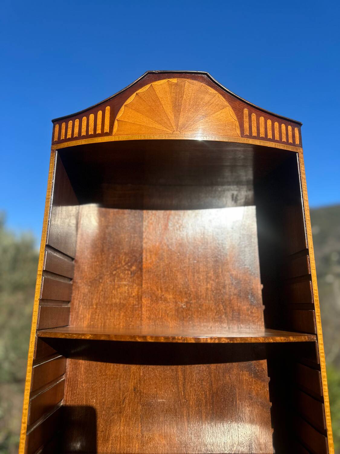 Flamed Mahogany Library in Regency style.