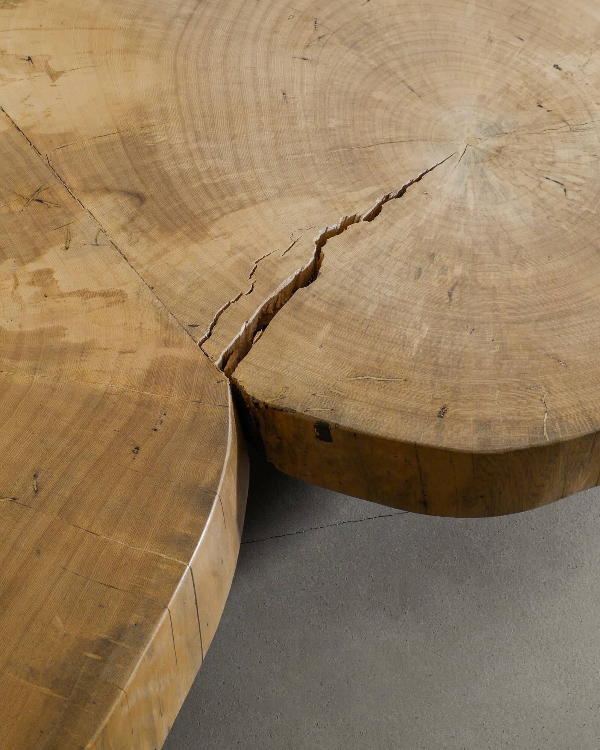 MId Century Brazilian Sculptural Wooden Low table, 1960s