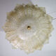 Dubai, Large Size Murano Glass Gold Flush Mount, 1970s
