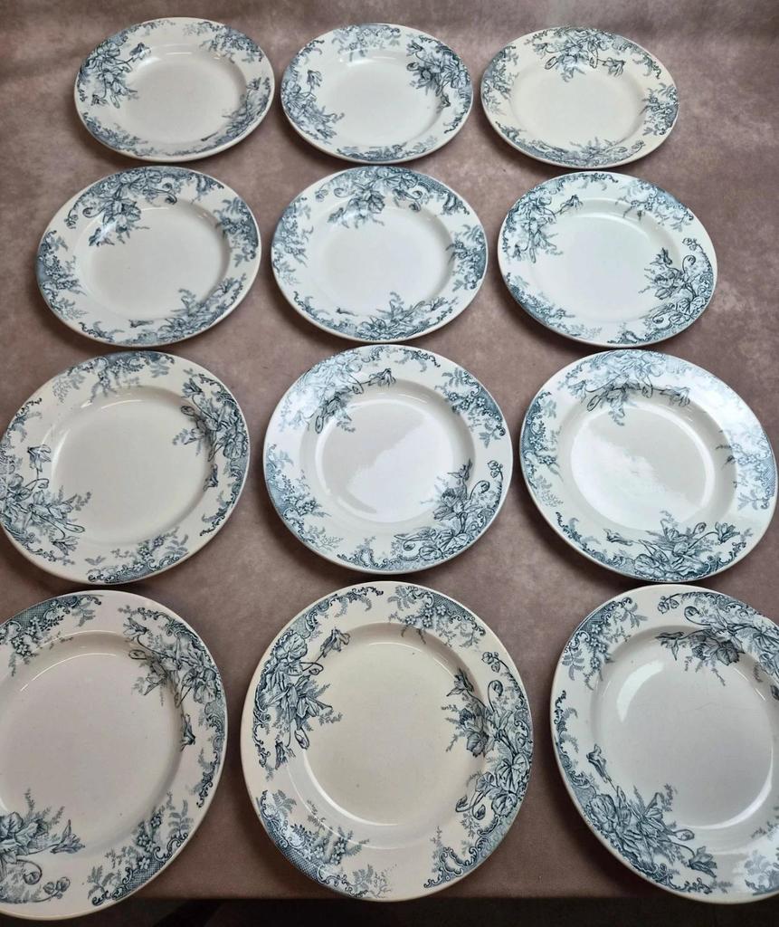 Set of 12 plates Terre de Fer Clairefontaine Cyclamens