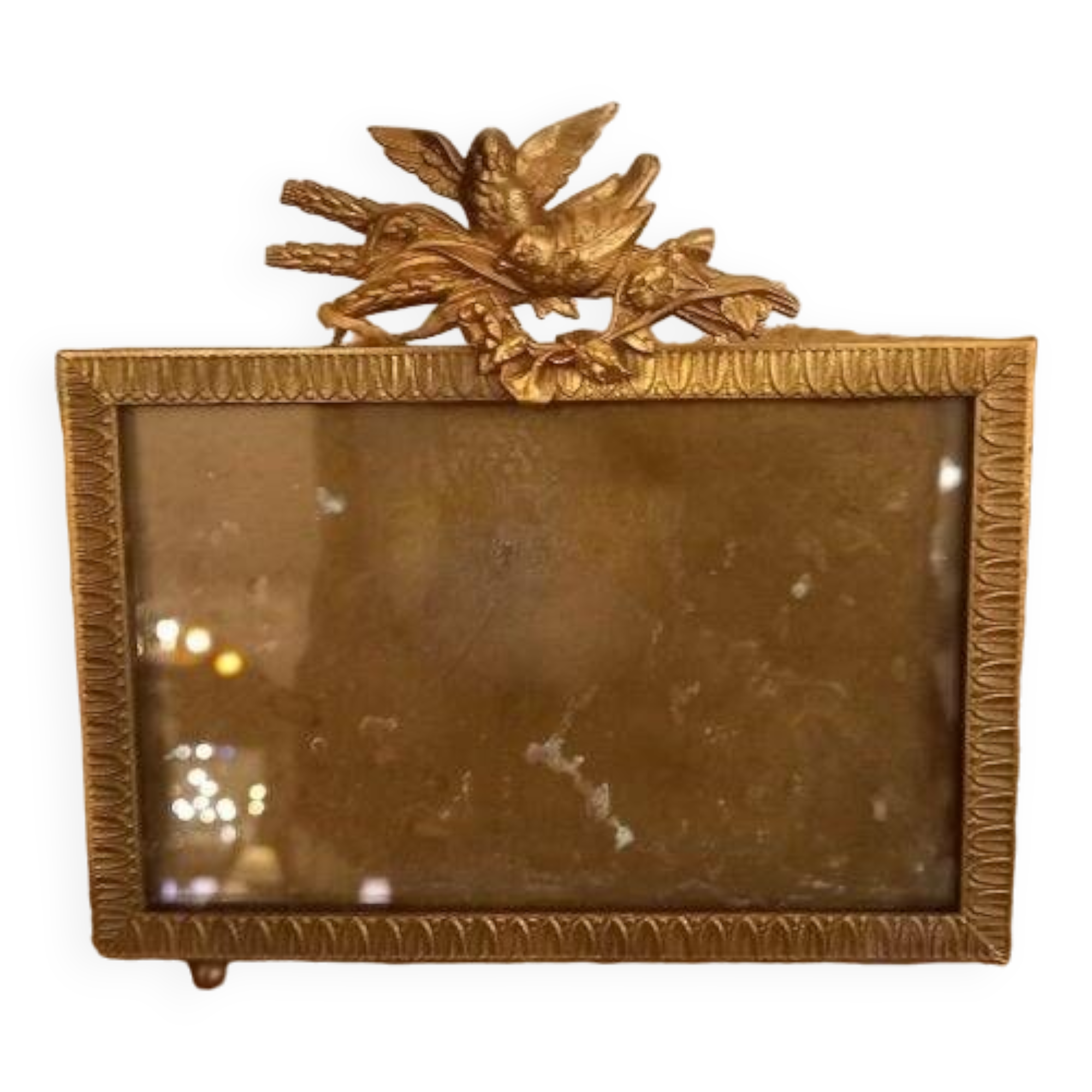 Vintage birds photo frame