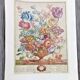 Lot of 19th century Floral Engravings - Vintage Art Print Flowers - 12 months - Robert Furber
