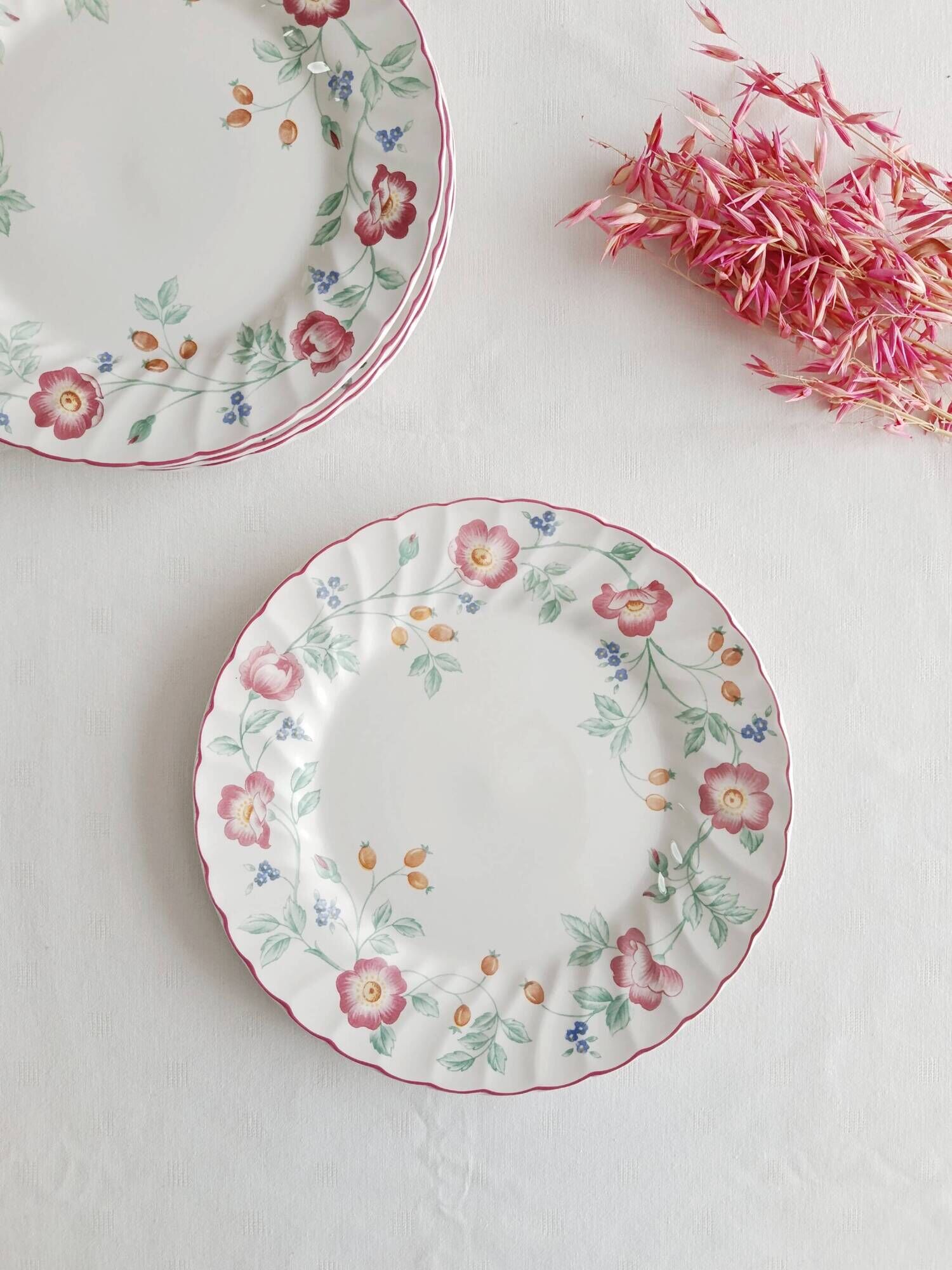 Set of 5 flat plates Churchill, Briar Rose