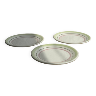Set of 12 green and pink Italian plates